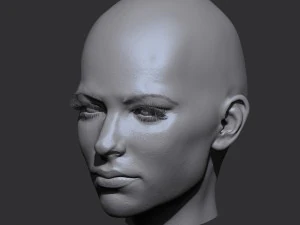 realistic woman head 3D Model