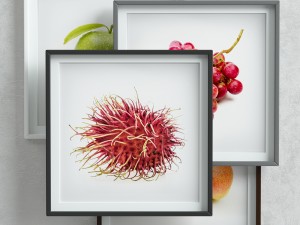 picture frames set -2 Modèle 3D