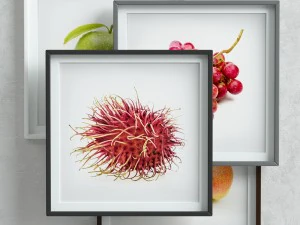 picture frames set -2 3D Model