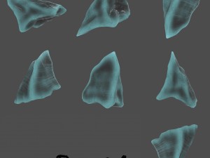 ice crystal set 3D 모델