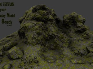 roks10 3D Model