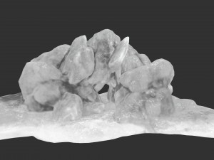 ice 1 3D Model