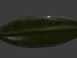 boat Modello 3D
