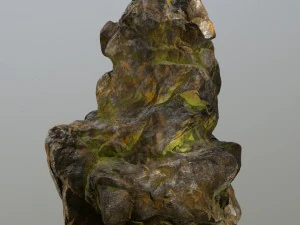 rock 3D Model