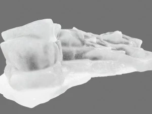 ice 4 3D Model