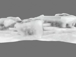 ice 4 3D Model