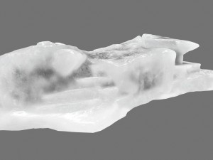 ice 4 Model 3D