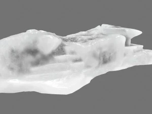 ice 4 3D Model