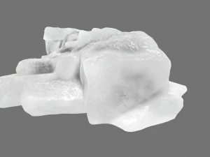 ice 4 3D Model