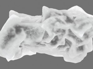 ice 4 Model 3D