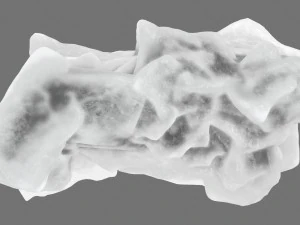 ice 4 3D Model
