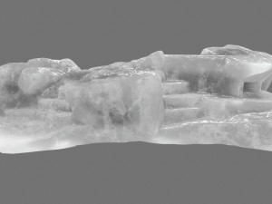 ice 5 3Dモデル
