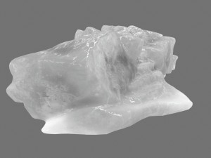 ice 5 3Dモデル