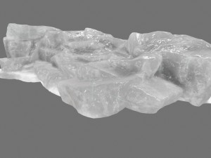 ice 5 3Dモデル