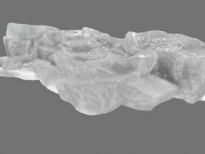 ice 5 3D Model