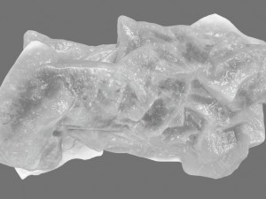 ice 5 3Dモデル