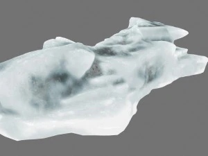 ice 6 3D Model