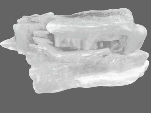 ice 11 3D Model