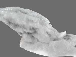 ice 20 Modello 3D