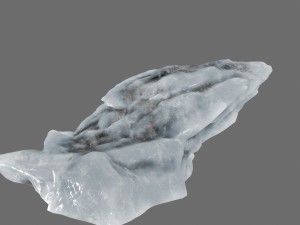 ice 21 3D मॉडल