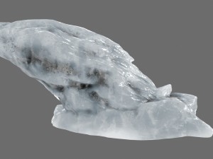 ice 21 3D मॉडल