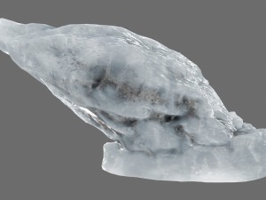 ice 21 3D मॉडल