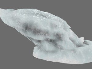 ice 22 3D Model