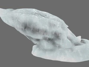 ice 22 3D Model