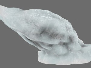 ice 22 3D Model