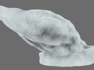 ice 22 3D Model