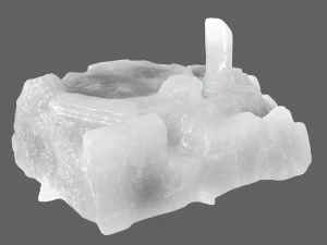 ijstempel 5 3D Model