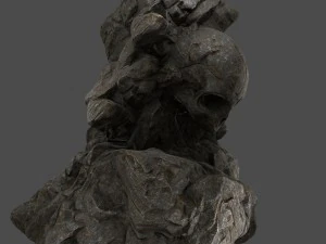 skull rock 8 3D Model