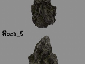 forest rock Modelo 3D