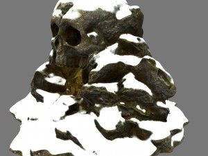 skull cave 3D 모델