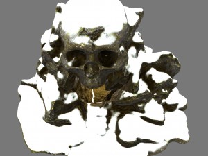 skull cave 3D 모델