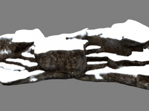 snow rock 3D Модель