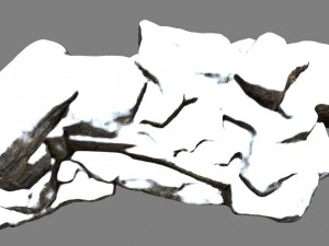 snow rock 3D Model
