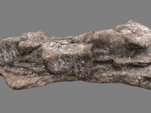 rock 3D Model