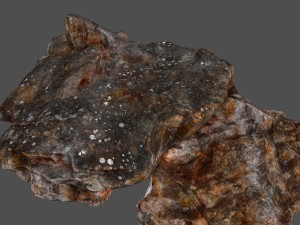skull cave 1 3D Model
