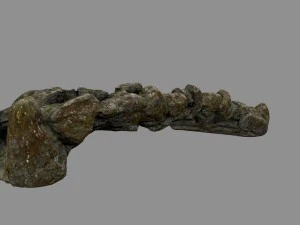 oldbridge 1 3D Model