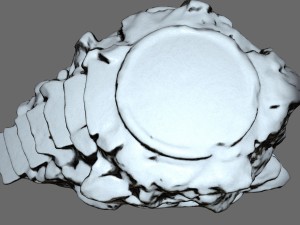 temple 3D मॉडल