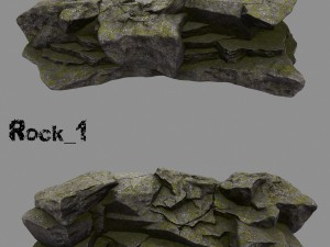 forest rock 3D Modell