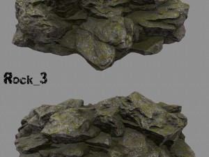 forest rock 3D Modell