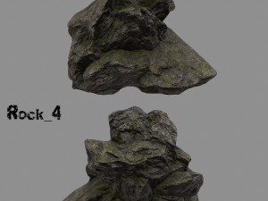 forest rock 3D Modell
