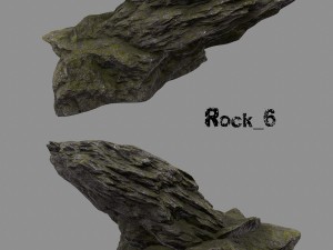 forest rock 3D Modell