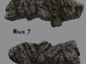 forest rock 3D Modell