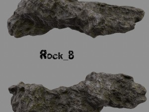 forest rock 3D Modell