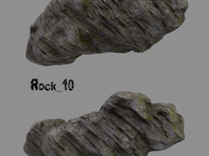 forest rock 3D Modell