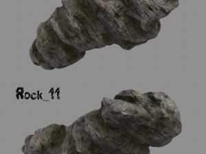 forest rock 3D Modell