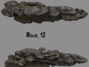 forest rock 3D Modell